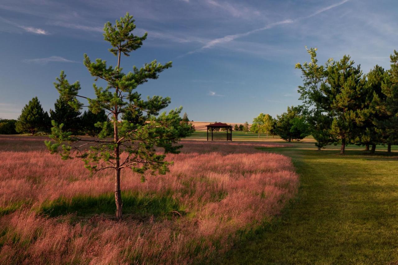 Darovansky Dvur - Wellness & Golf Hotel Brasy ภายนอก รูปภาพ